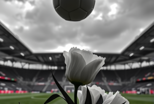 新闻 – 中国法兰克福-图101