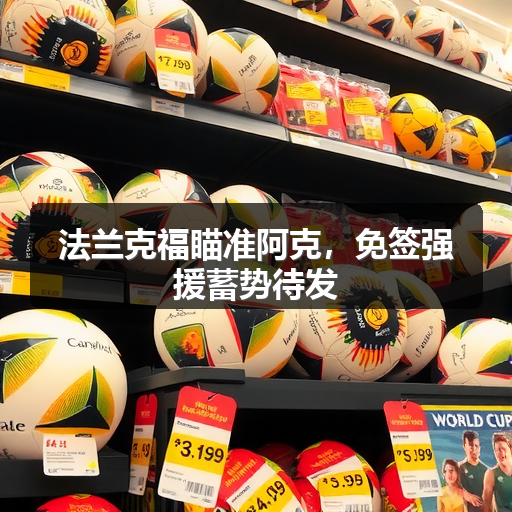 HSB – 第 4 页 – 中国法兰克福-图3