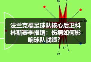 法兰克福VS狼堡：1-图6
